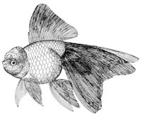 AAD50562.JPG