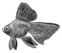 AAD50559.JPG