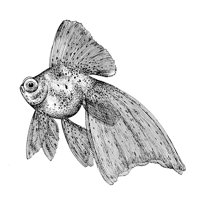 AAD50558.JPG
