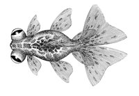 AAD50557.JPG