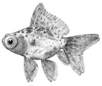 AAD50556.JPG