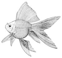 AAD50555.JPG