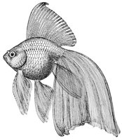 AAD50554.JPG