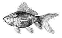 AAD50553.JPG