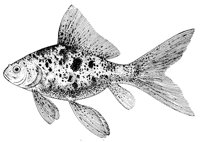 AAD50552.JPG