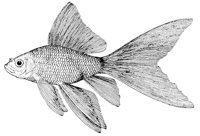 AAD50551.JPG