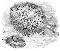AAD50547.JPG