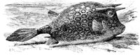 AAD50546.JPG