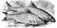 AAD50544.JPG