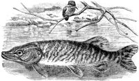 AAD50543.JPG