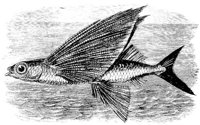 AAD50542.JPG