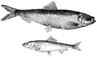AAD50541.JPG