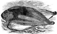 AAD50537.JPG