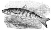 AAD50535.JPG