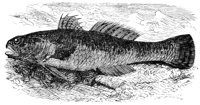 AAD50532.JPG