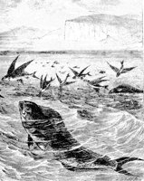 AAD50531.JPG