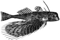 AAD50529.JPG