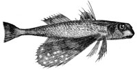 AAD50528.JPG