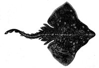AAD50523.JPG
