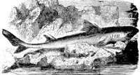 AAD50522.JPG