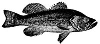 AAD50519.JPG