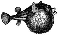 AAD50518.JPG