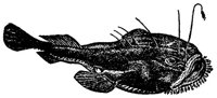 AAD50516.JPG
