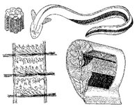 AAD50514.JPG