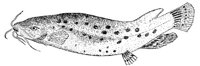 AAD50512.JPG