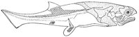 AAD50509.JPG