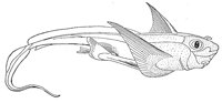 AAD50508.JPG