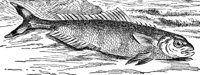 AAD50504.JPG