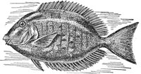 AAD50503.JPG