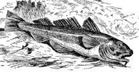 AAD50501.JPG