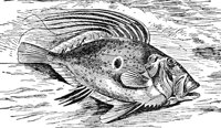 AAD50499.JPG