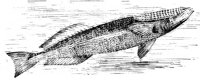 AAD50498.JPG