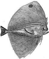 AAD50496.JPG