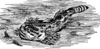 AAD50495.JPG