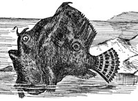 AAD50492.JPG