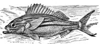 AAD50491.JPG
