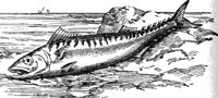 AAD50490.JPG