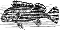 AAD50489.JPG