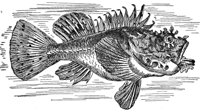 AAD50488.JPG