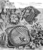 AAD50487.JPG