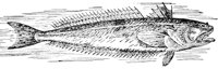 AAD50486.JPG