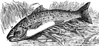 AAD50485.JPG