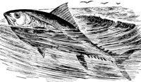 AAD50484.JPG