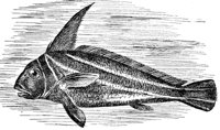 AAD50483.JPG