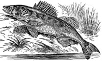 AAD50480.JPG