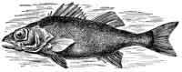 AAD50479.JPG